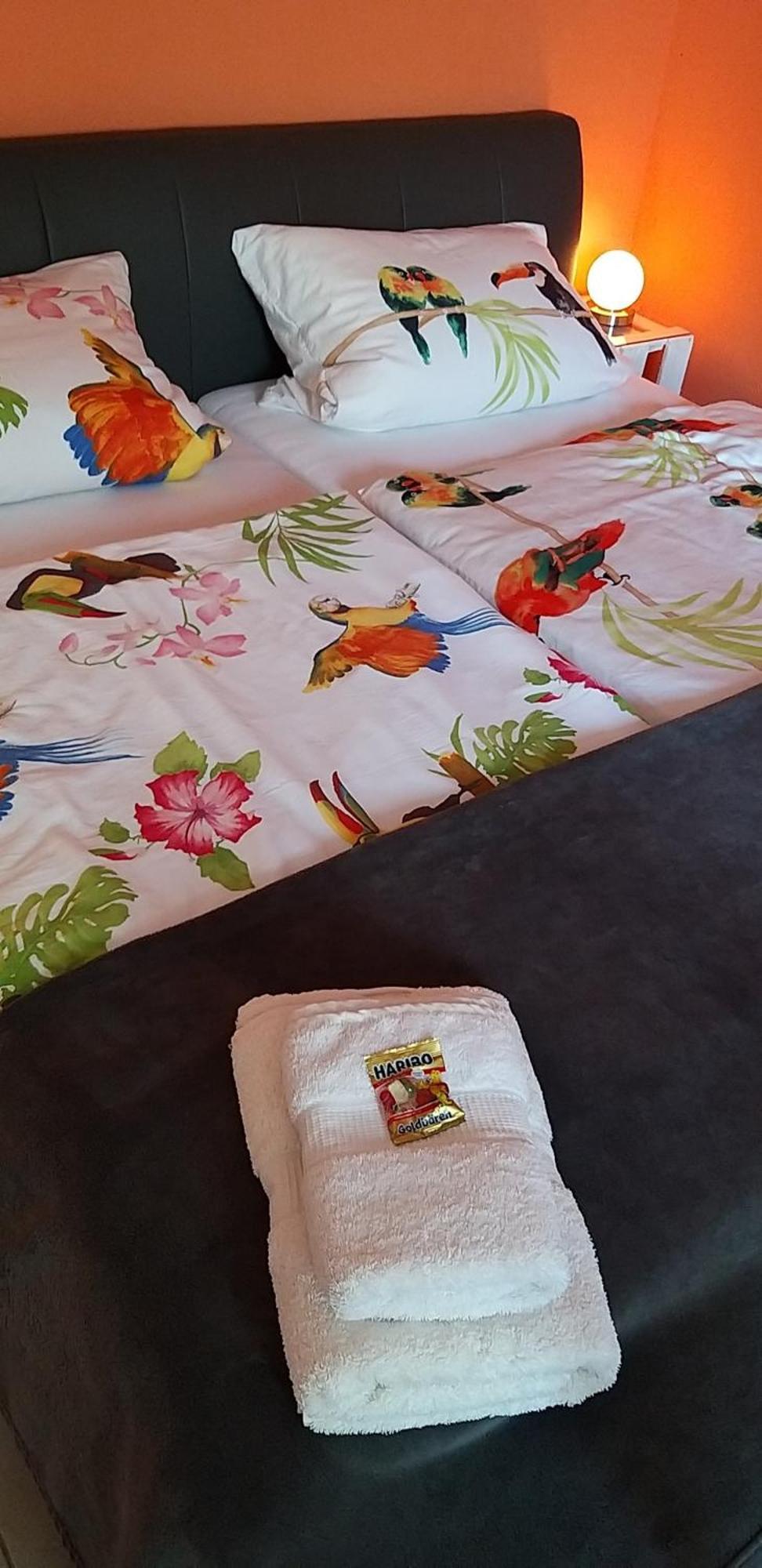 Ferienwohnung Am Backhausgarten 플론하임 외부 사진